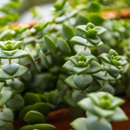 Flh Vivenda Belo Horizonte With Sea View Caniço